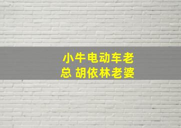 小牛电动车老总 胡依林老婆